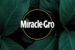 Miracle-Gro