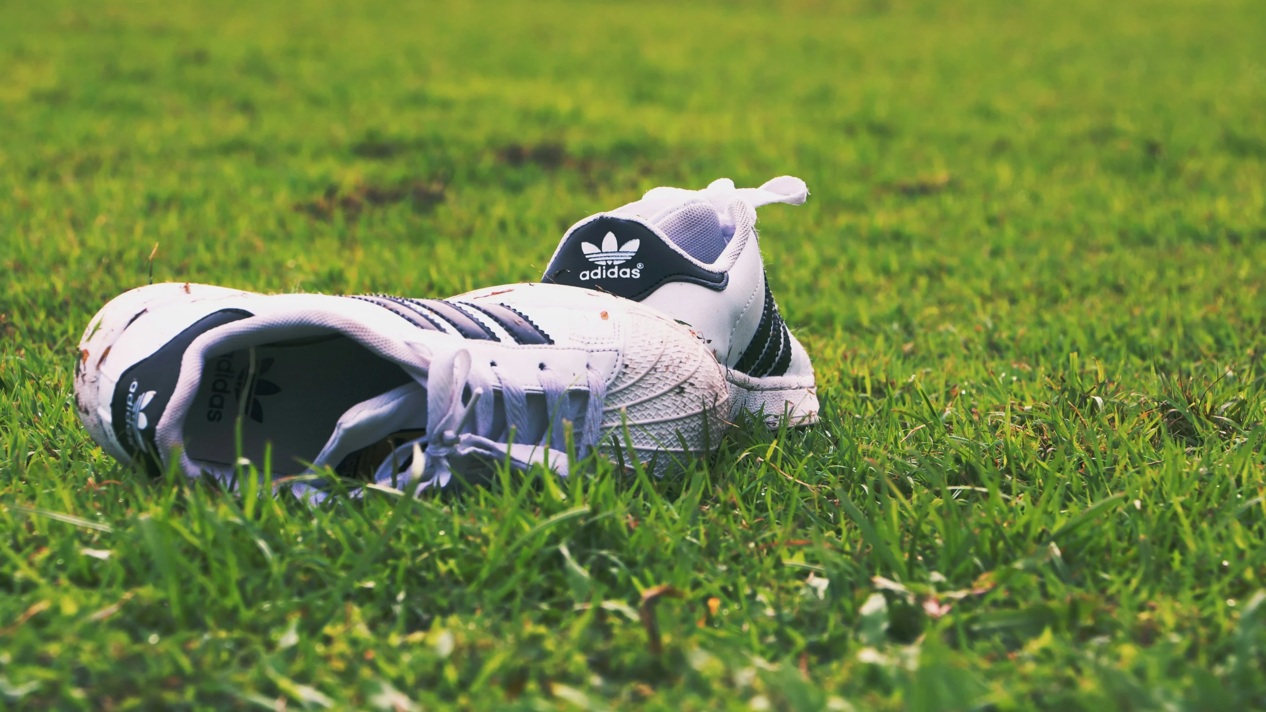adidas sneakers